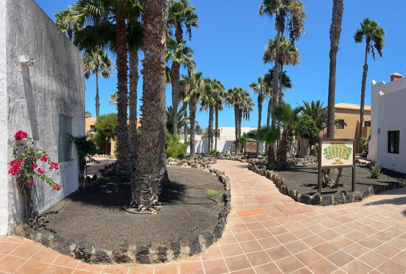 Apartamentos Gala Corralejo Exterior photo